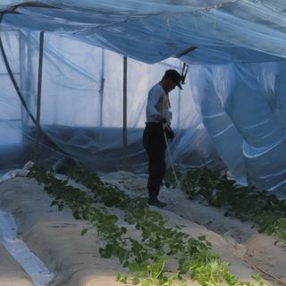 빛그린 김용화님의 자유주제 · 자유게시판 작성글 사진