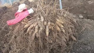 이창신님의 자유주제 · 자유게시판 작성글 사진