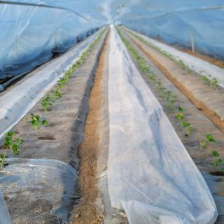 빛그린 김용화님의 자유주제 · 자유게시판 작성글 사진