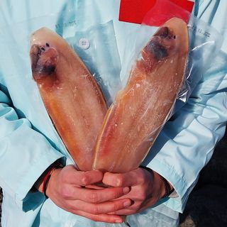 직송포유님의 자유주제 · 자유게시판 작성글 사진