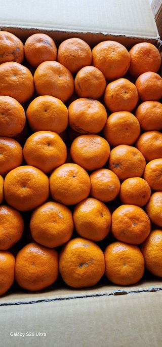 조현기 님의 작성글 사진