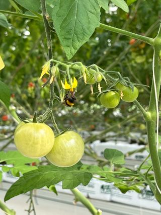 니나님의 자유주제 · 자유게시판 작성글 사진