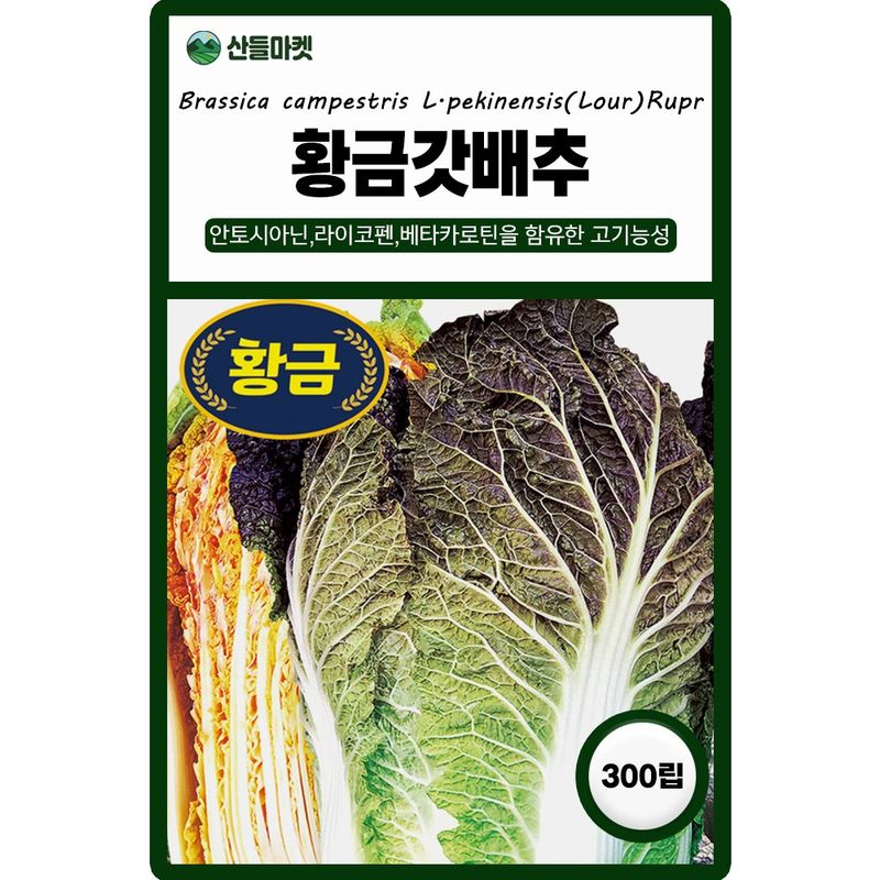 장터 상품 [다농 황금갓배추 300립 5+1 랜덤씨앗 증정 ] 썸네일