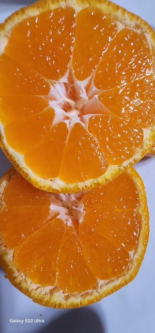 조현기 님의 작성글 사진