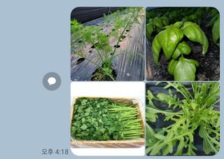 권미화님의 작성글 사진