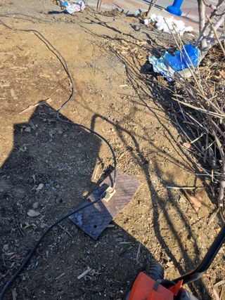 김용대님의 자유주제 · 자유게시판 작성글 사진