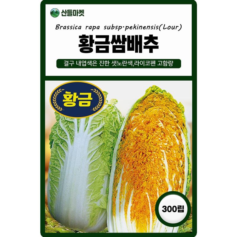 장터 상품 [다농 황금쌈배추 300립 5+1 랜덤씨앗 증정 ] 썸네일