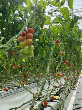 니나님의 자유주제 · 자유게시판 작성글 사진