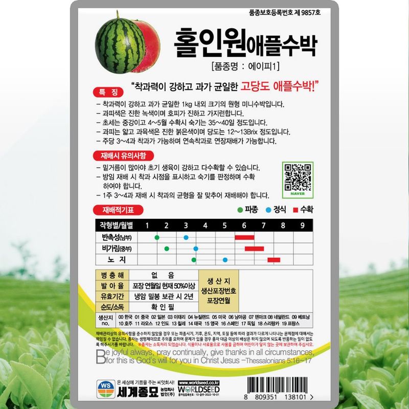 산들마켓,씨앗마켓님의 장터 판매 상품 [세계종묘 홀인원애플수박 10립 3개 + 랜덤씨앗 1개 증정 무료배송] 첨부 사진