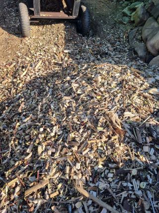 김용대님의 자유주제 · 자유게시판 작성글 사진