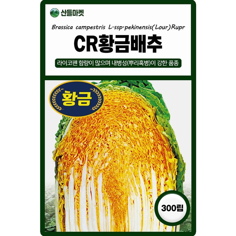 장터 상품 [다농 CR황금배추 300립 5+1 랜덤씨앗 증정 ] 썸네일