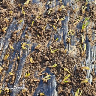 박용열조물주님 님의 자유주제 · 자유게시판 작성글 사진