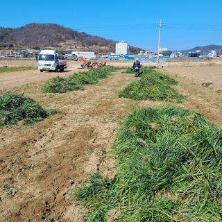 이은화님의 자유주제 · 자유게시판 작성글 사진