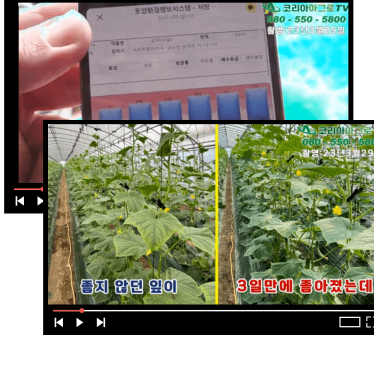 병천아그로주식회사님의 장터 판매 상품 [해미노뿌리 5L] 첨부 사진