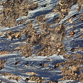 박용열조물주님 님의 자유주제 · 자유게시판 작성글 사진