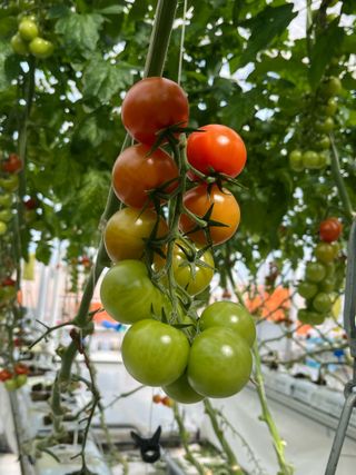 니나님의 자유주제 · 자유게시판 작성글 사진