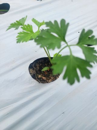 권미화님의 작성글 사진