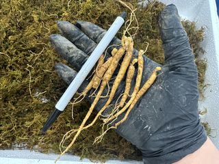 진상빈님의 작성글 사진