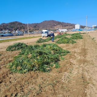 이은화님의 자유주제 · 자유게시판 작성글 사진