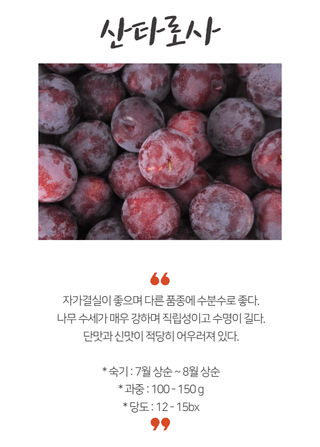 일심묘목농원님의 작성글 사진