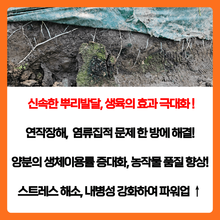 병천아그로주식회사님의 장터 판매 상품 [해미노뿌리 5L] 첨부 사진