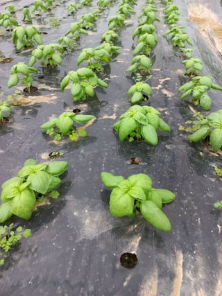 권미화님의 작성글 사진