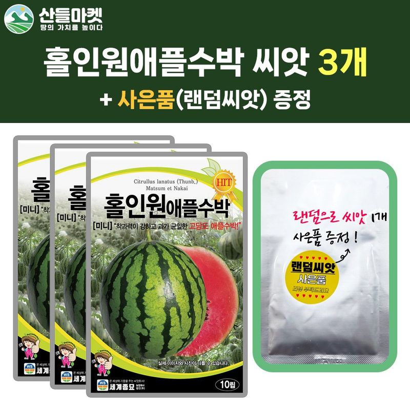 장터 상품 [세계종묘 홀인원애플수박 10립 3개 + 랜덤씨앗 1개 증정 무료배송] 썸네일