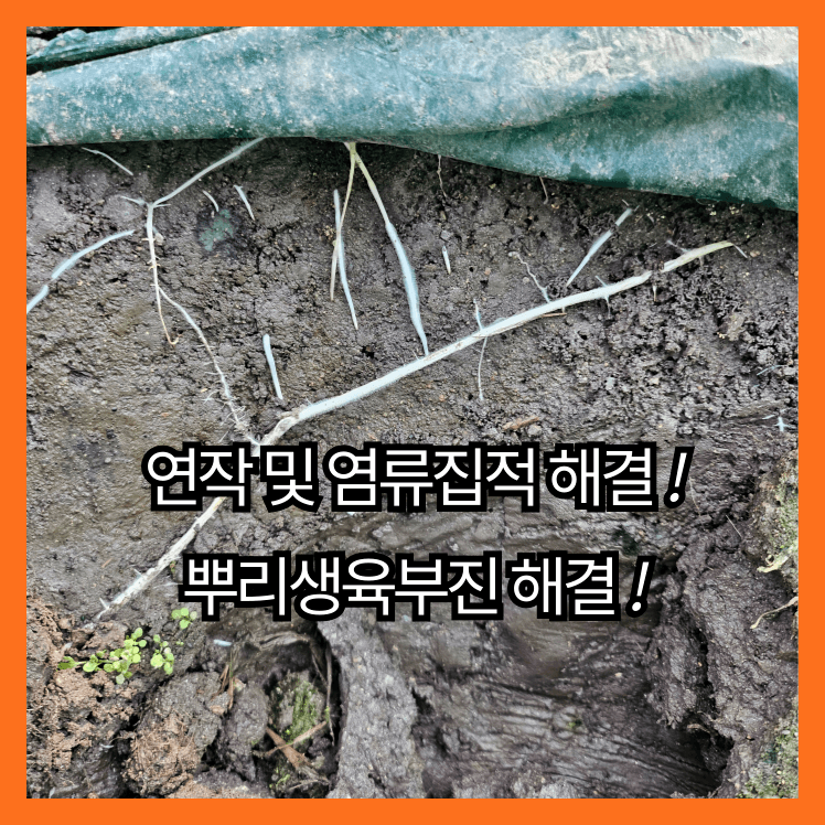 병천아그로주식회사님의 장터 판매 상품 [해미노뿌리 5L] 첨부 사진