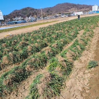 이은화님의 자유주제 · 자유게시판 작성글 사진