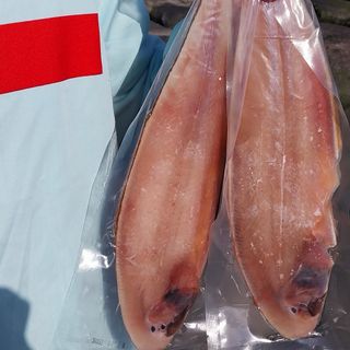 직송포유님의 자유주제 · 자유게시판 작성글 사진