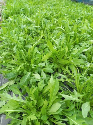 권미화님의 작성글 사진