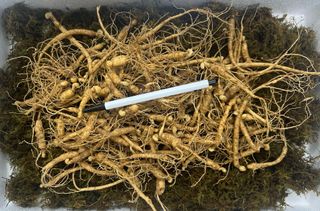 진상빈님의 작성글 사진