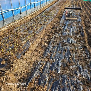 박용열조물주님 님의 자유주제 · 자유게시판 작성글 사진