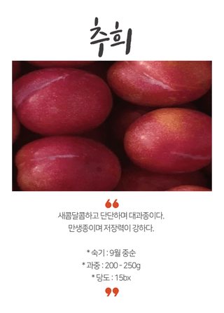 일심묘목농원님의 작성글 사진