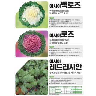 아시아종묘님의 자유주제 · 자유게시판 작성글 사진