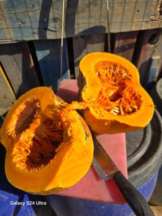 소병찬님의 자유주제 · 자유게시판 작성글 사진