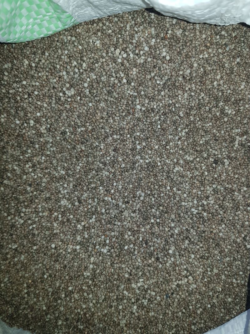 장터 상품 [완판했읍니다] 썸네일