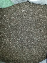 팜모닝 · 게시글 이미지