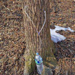 연국흠님의 자유주제 · 사진전 작성글 사진