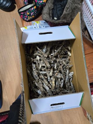 김성부 님의 스마트폰에서 어려운 기능은? · 참여글 작성글 사진