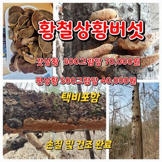김봉호님의 작성글 사진