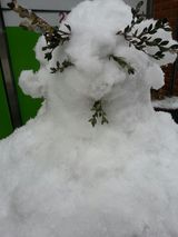 팜모닝 자유주제·건의해요 게시글 이미지