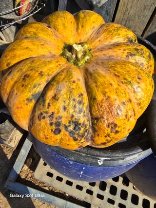 소병찬님의 자유주제 · 자유게시판 작성글 사진