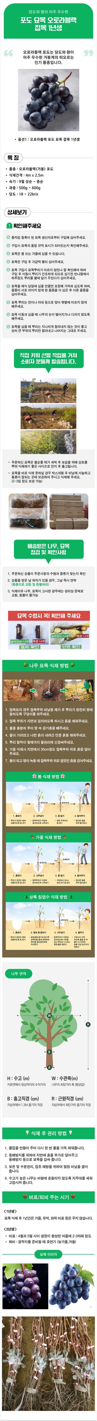 팜모닝 상점님의 작성글 사진