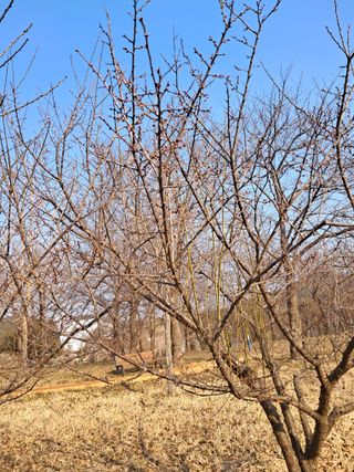 고산국토사랑풀뽑기님의 자유주제 · 자유게시판 작성글 사진
