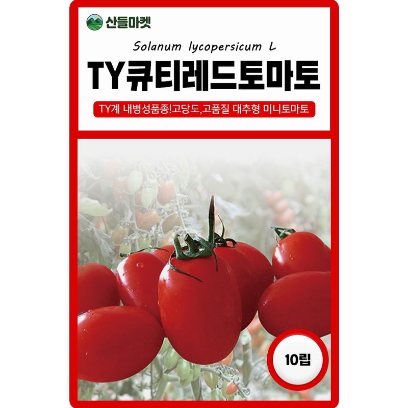 장터 상품 [다농 TY큐티레드 방울토마토 10립 5+1 랜덤씨앗 증정 ] 썸네일