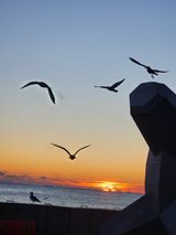 팜모닝 · 게시글 이미지