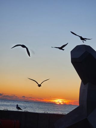 황철환님의 작성글 사진