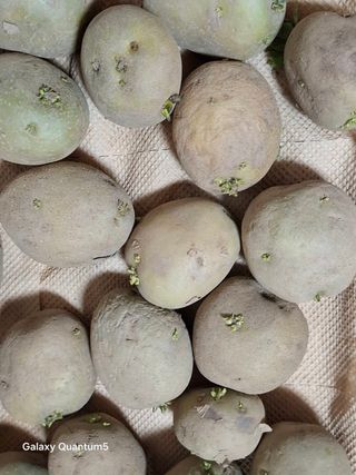 이세순님의 자유주제 · 자유게시판 작성글 사진