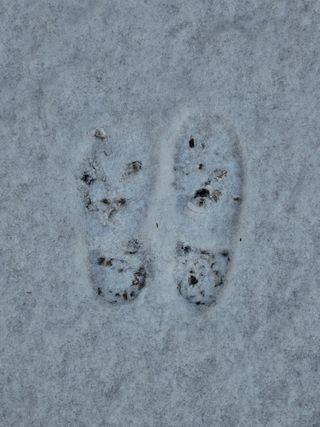 백용기님의 자유주제 · 자유게시판 작성글 사진